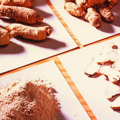 Wisconsin-origin Hsu's American Ginseng showcasing local harvest.