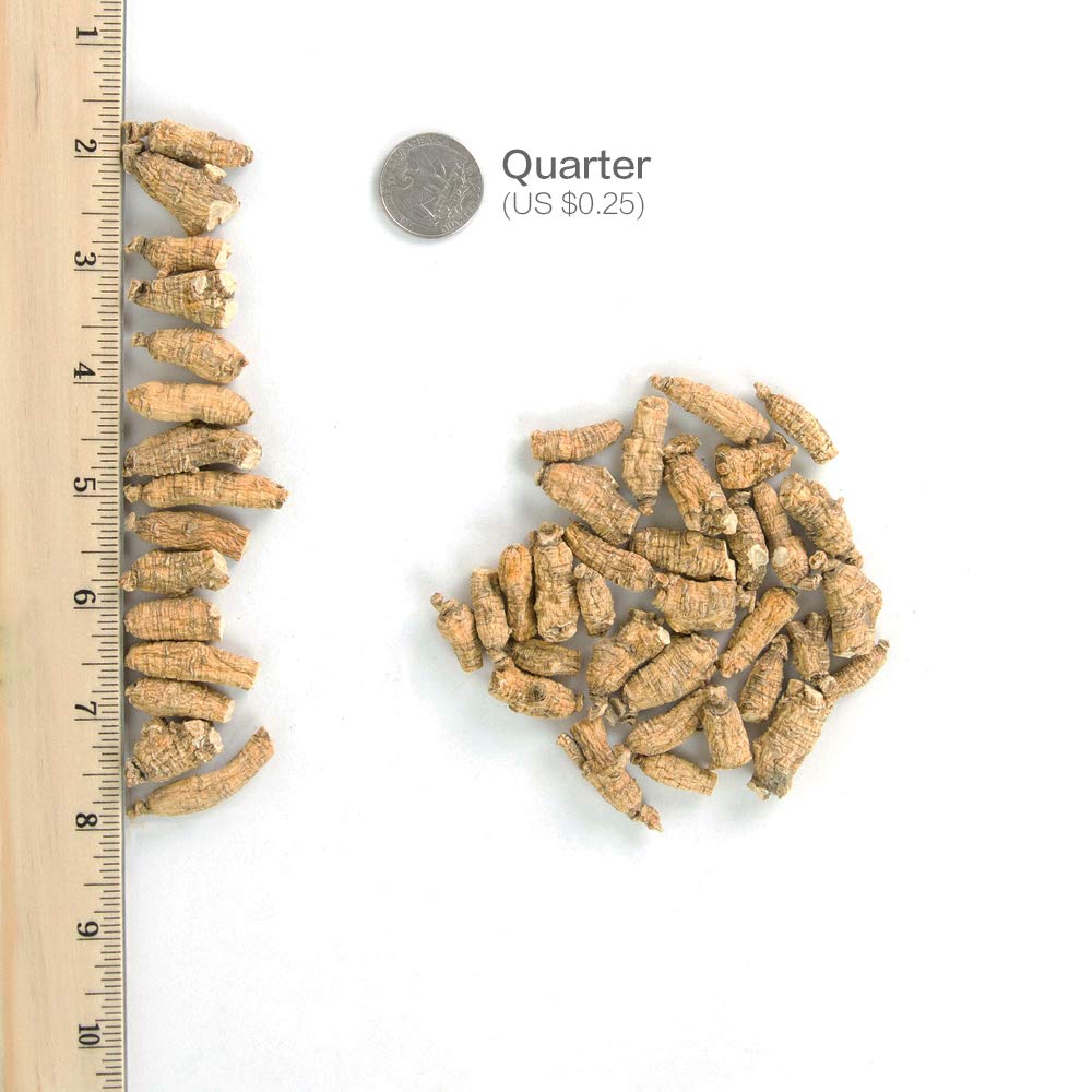 Hsu's Wisconsin American Ginseng Raw Roots small #2 ideal for tea or tinctures