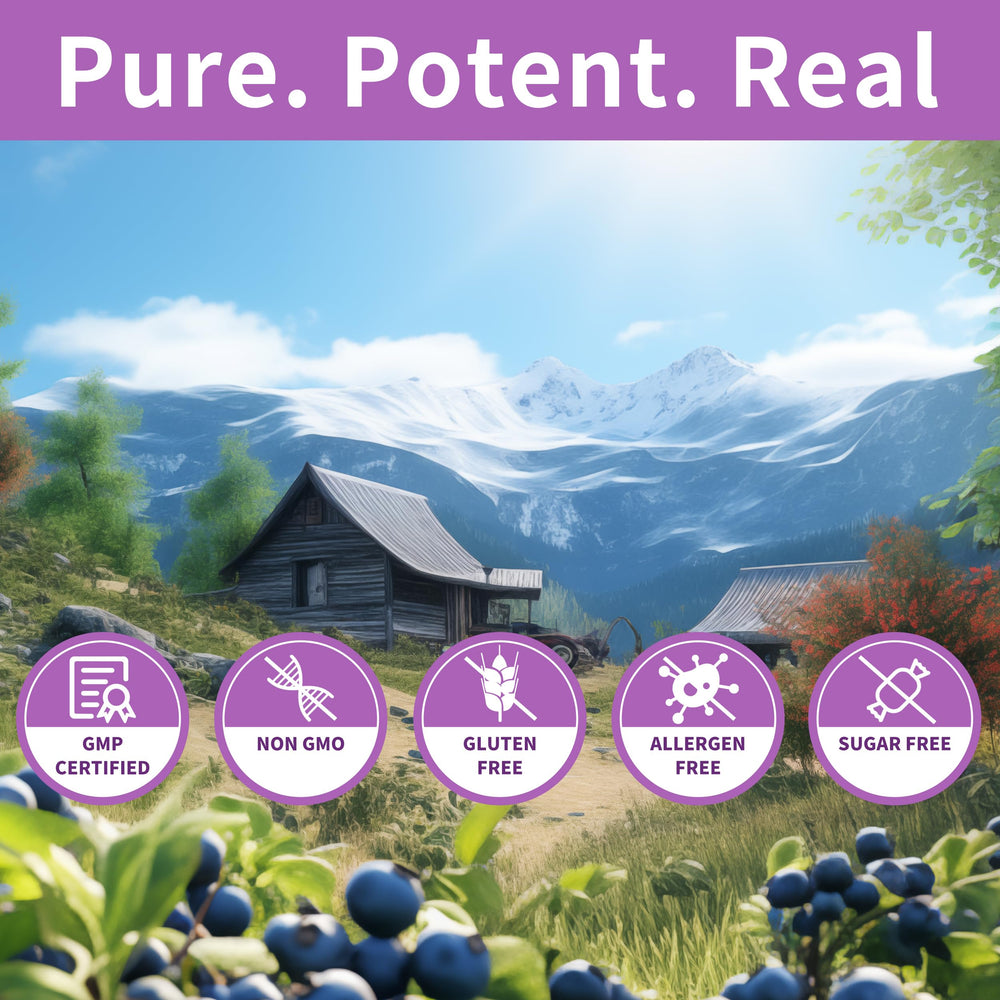 Hudetex gummies are kid-friendly daily eye support with tasty blueberry flavor.