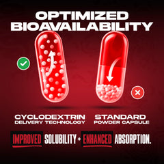 Huge Supplements Ecdysterone infographic image about absorption technology