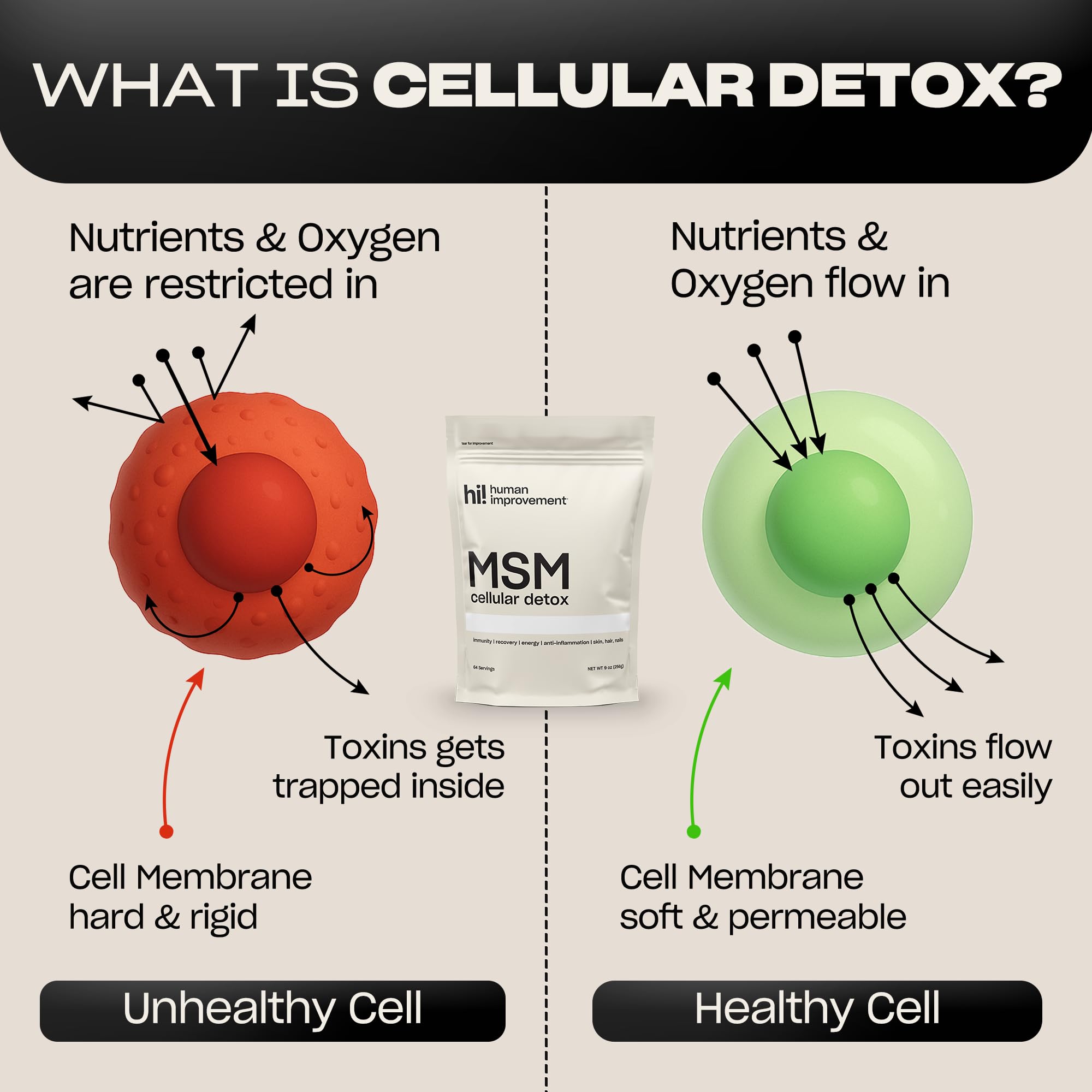Human Improvement MSM powder dissolving in water; convenient hydration boost.