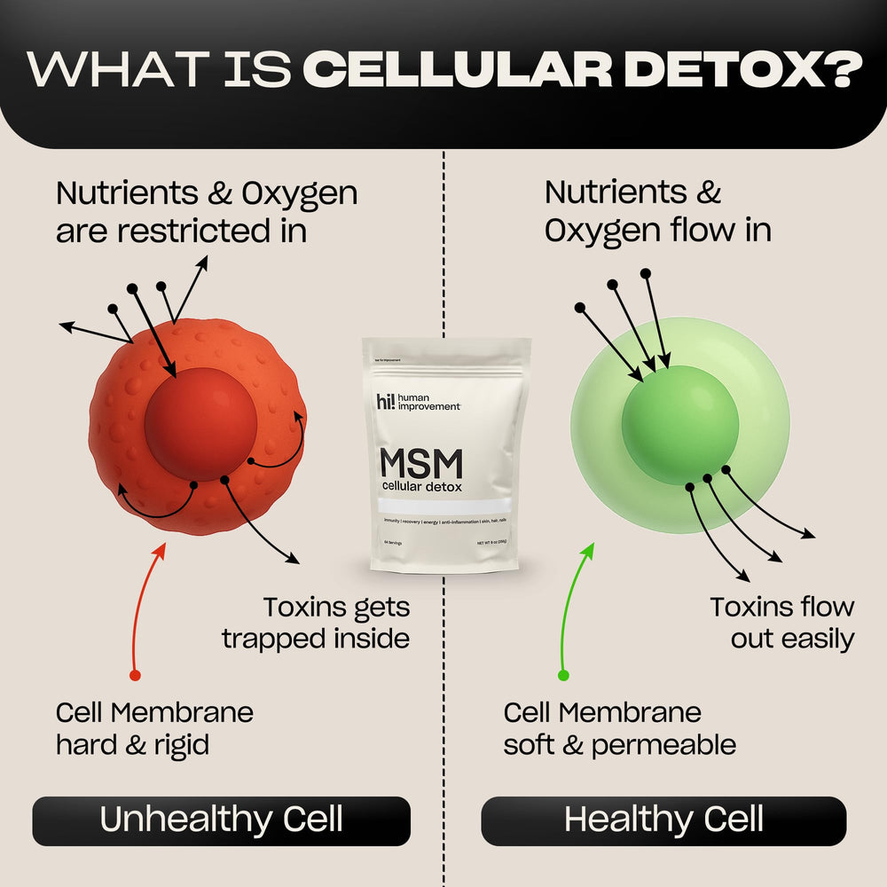 Human Improvement MSM powder dissolving in water; convenient hydration boost.