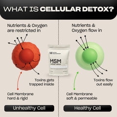 Human Improvement MSM powder dissolving in water; convenient hydration boost.