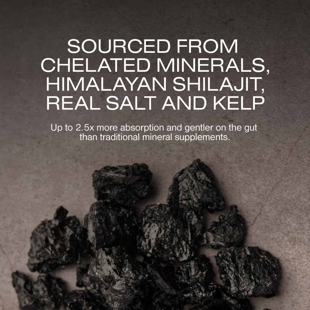 Human Nature Fine Tune ingredients close-up highlighting kelp and shilajit.