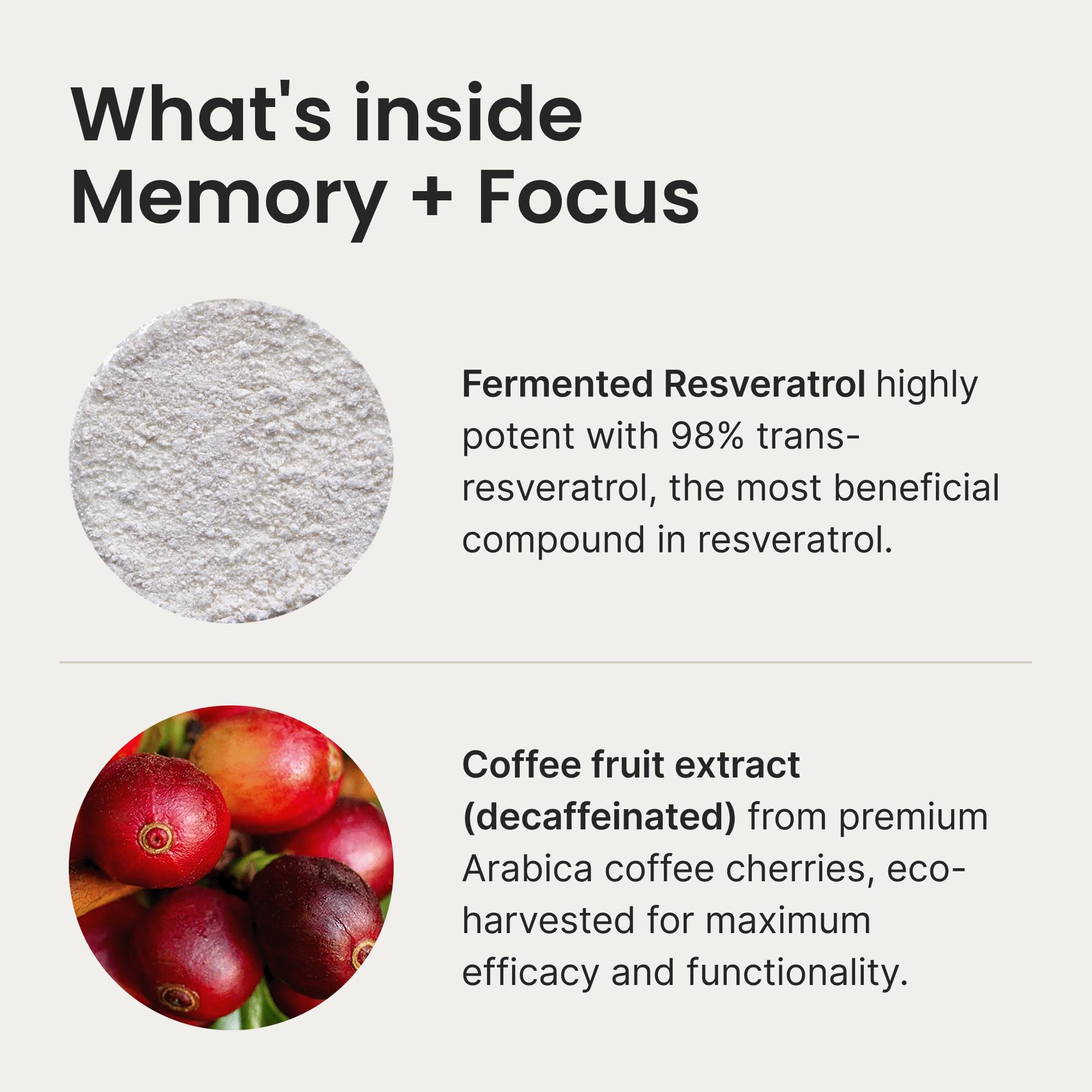 Humann Memory Focus Chews packaging emphasizing on-the-go cognitive support.