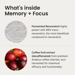 Humann Memory Focus Chews packaging emphasizing on-the-go cognitive support.
