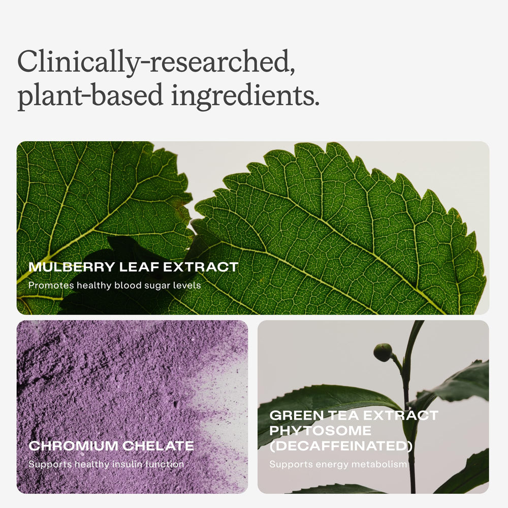 Humann Metabolic Health Daily mulberry leaf extract contributes to balanced post meal support