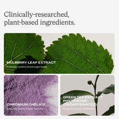 Humann Metabolic Health Daily mulberry leaf extract contributes to balanced post meal support