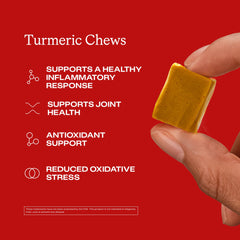 Humann Turmeric Chews orange citrus flavor shot