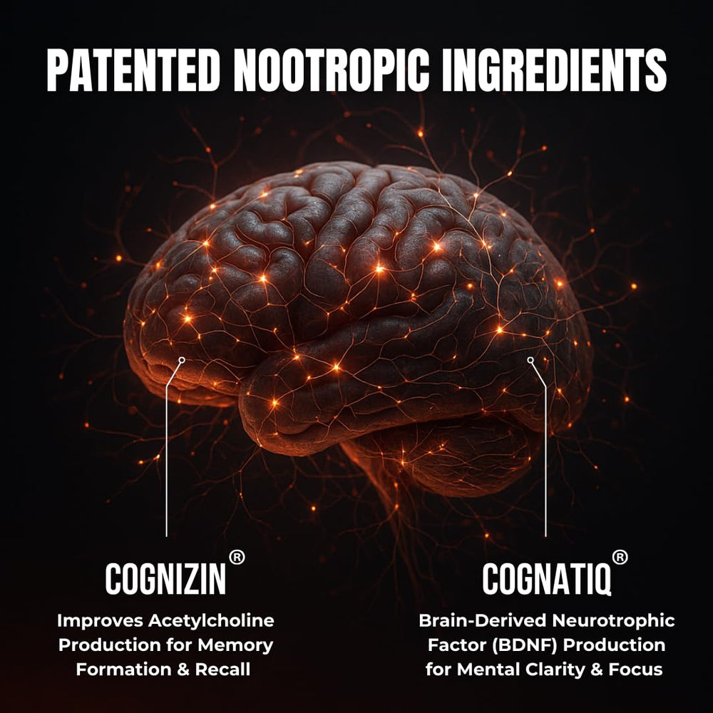 HUMBLEROOTS FOCUS ingredients label close-up with eight natural components