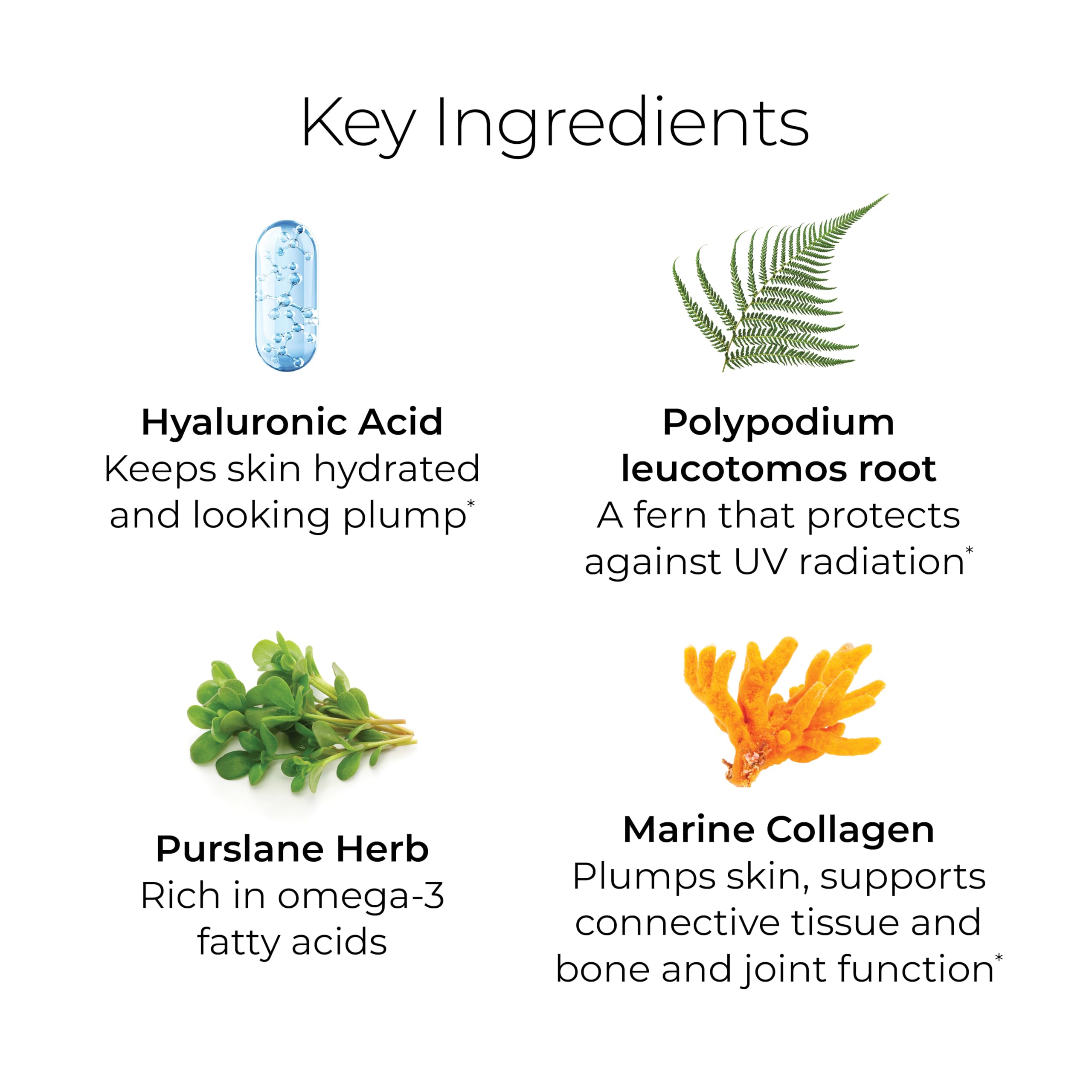 Hush & Hush ingredients scene features marine collagen and hyaluronic acid visuals
