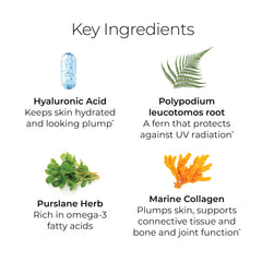 Hush & Hush ingredients scene features marine collagen and hyaluronic acid visuals