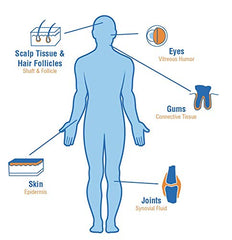 Hyalogic lifestyle scene with supplement bottle during morning routine.