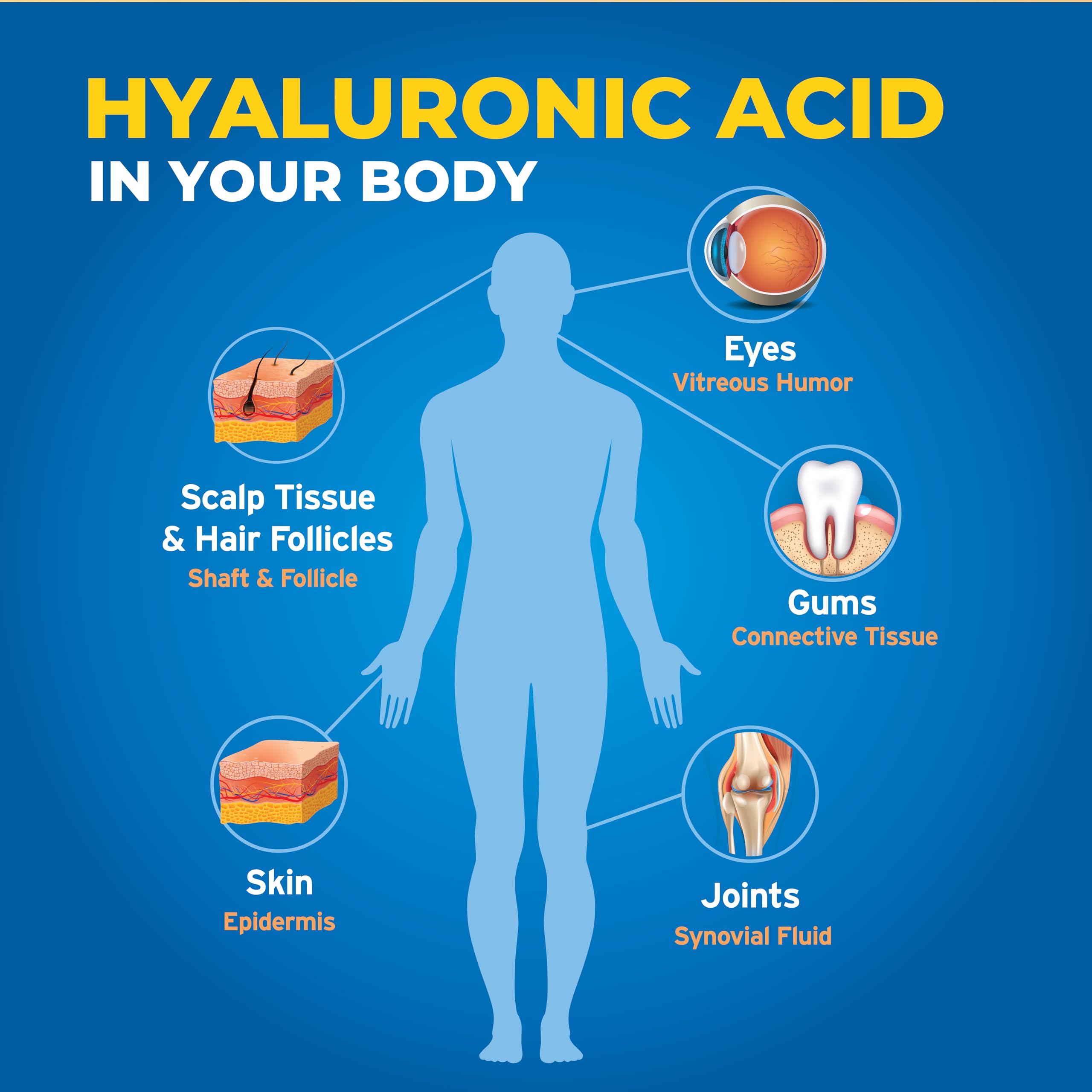 Hyalogic Synthovial Seven label closeup highlighting vegetarian and gluten-free features.