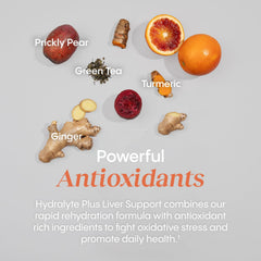Hydralyte Liver Support 20 packets displayed on shelf for easy use