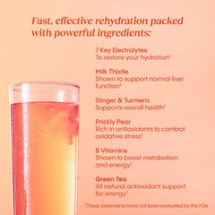 Milk thistle highlight in HydraLyte Liver Support sachet for daily wellness.