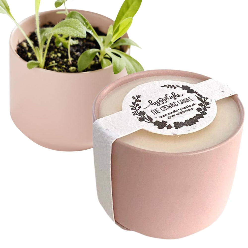 Hyggelight growing candle pink ceramic container design as stylish decor that doubles as a planter.