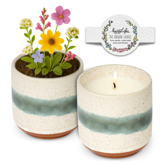 Hyggelight Edith glazed terracotta pot, reusable planter for stylish décor.