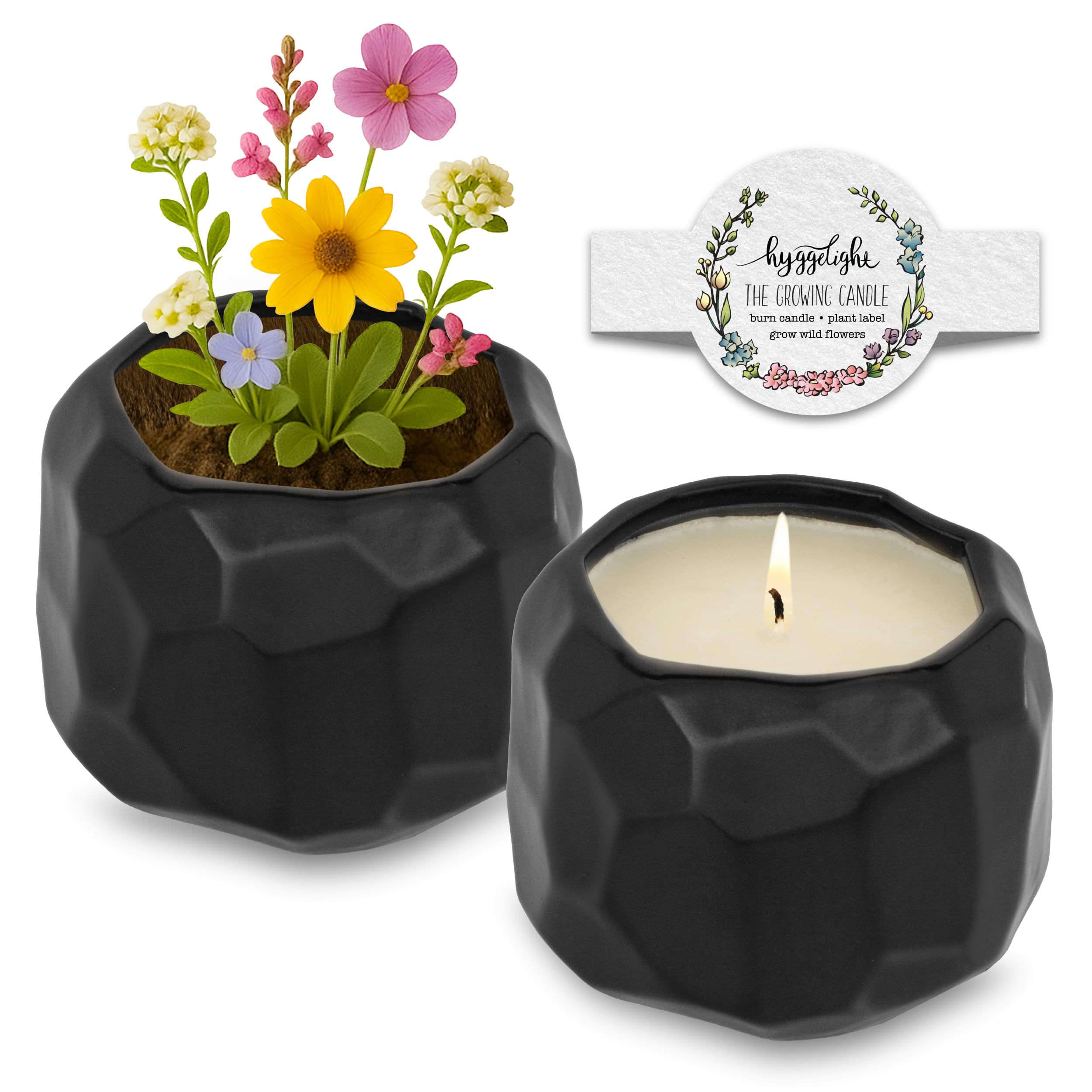 Hyggelight Emma growing candle with sandalwood vanilla aroma for a calm living space.