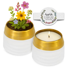 Hyggelight Growing Candle with chai scent in a gold-white pot for warm ambience