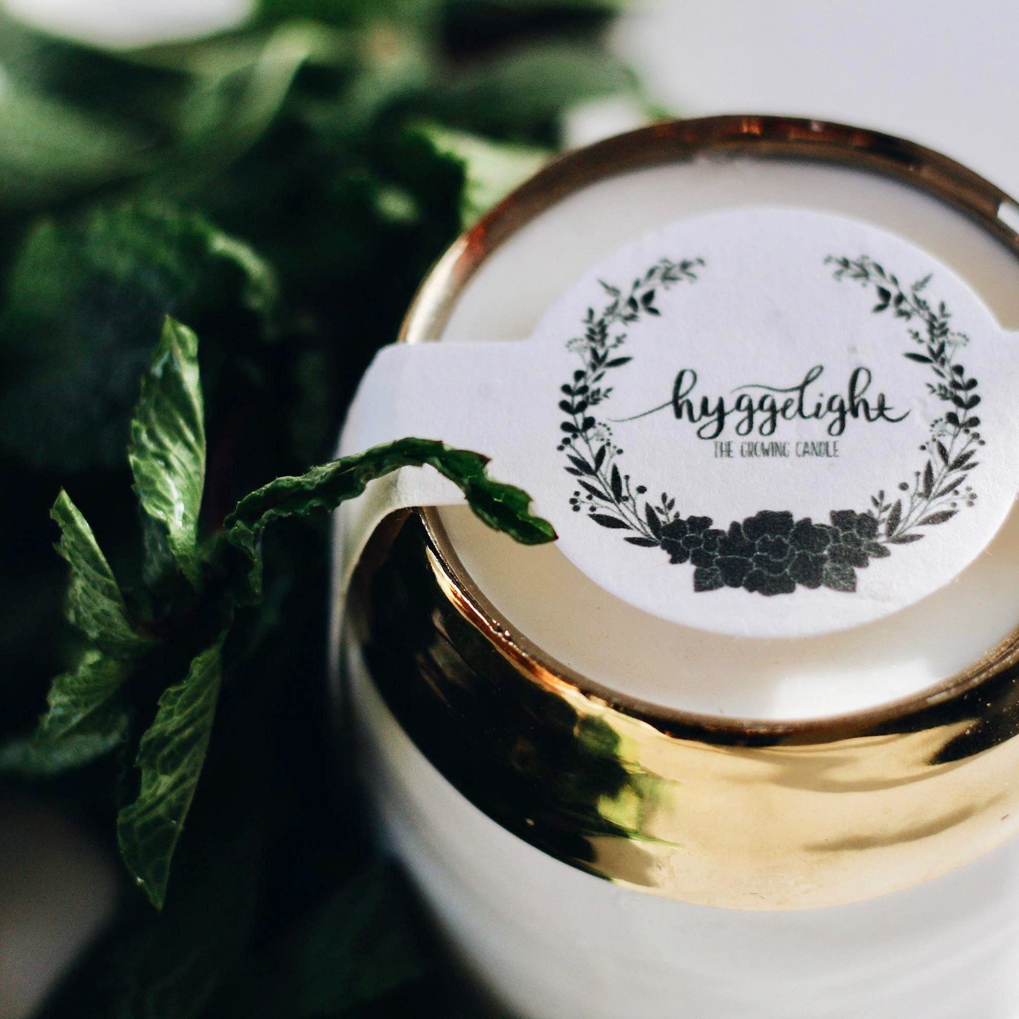 Hyggelight rosemary-sage fragrance creates calm in living spaces.