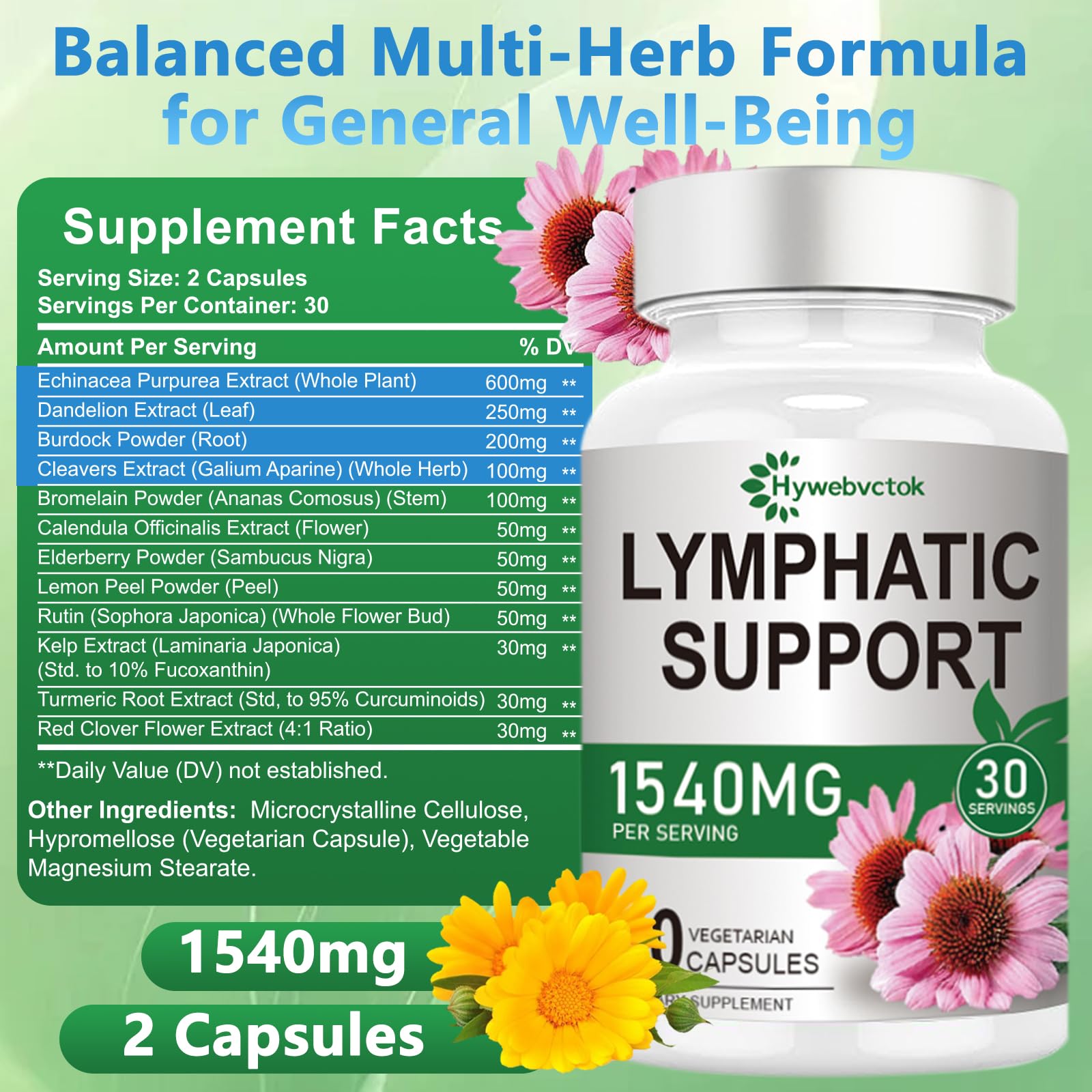 Hywebvctok 12-herb blend chart highlighting echinacea for immune support.