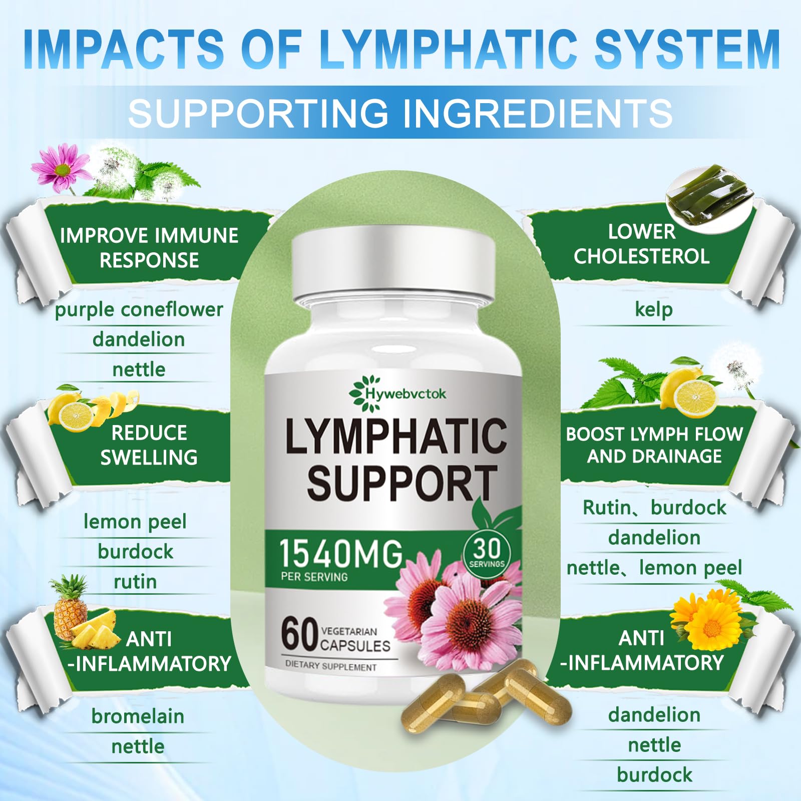 Hywebvctok cleavers plant visualization promoting natural lymphatic balance.