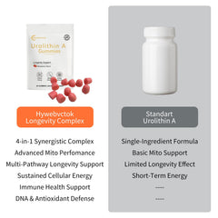 Hywebvctok Urolithin A Gummies aid muscle recovery and fatigue management