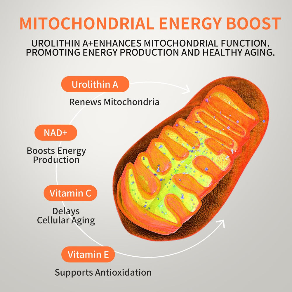 Hywebvctok Urolithin A Gummies with NAD+ and vitamins for energy metabolism