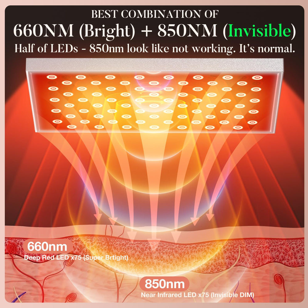 i-Venoya even-light-coverage panel provides uniform light across the body.
