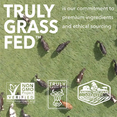 Packaging close-up showing grass-fed, non-GMO protein benefits for ICONIC powder.
