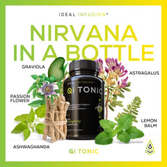 Ideal Infusion astragalus root ingredient supports energy and focus.