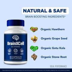 IDEAL PERFORMANCE Brainxcell on a desk setup suggesting daily use