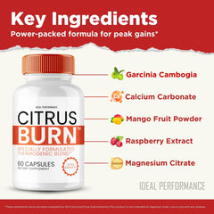IDEAL PERFORMANCE Citrus Burn on kitchen counter ready for daily intake.
