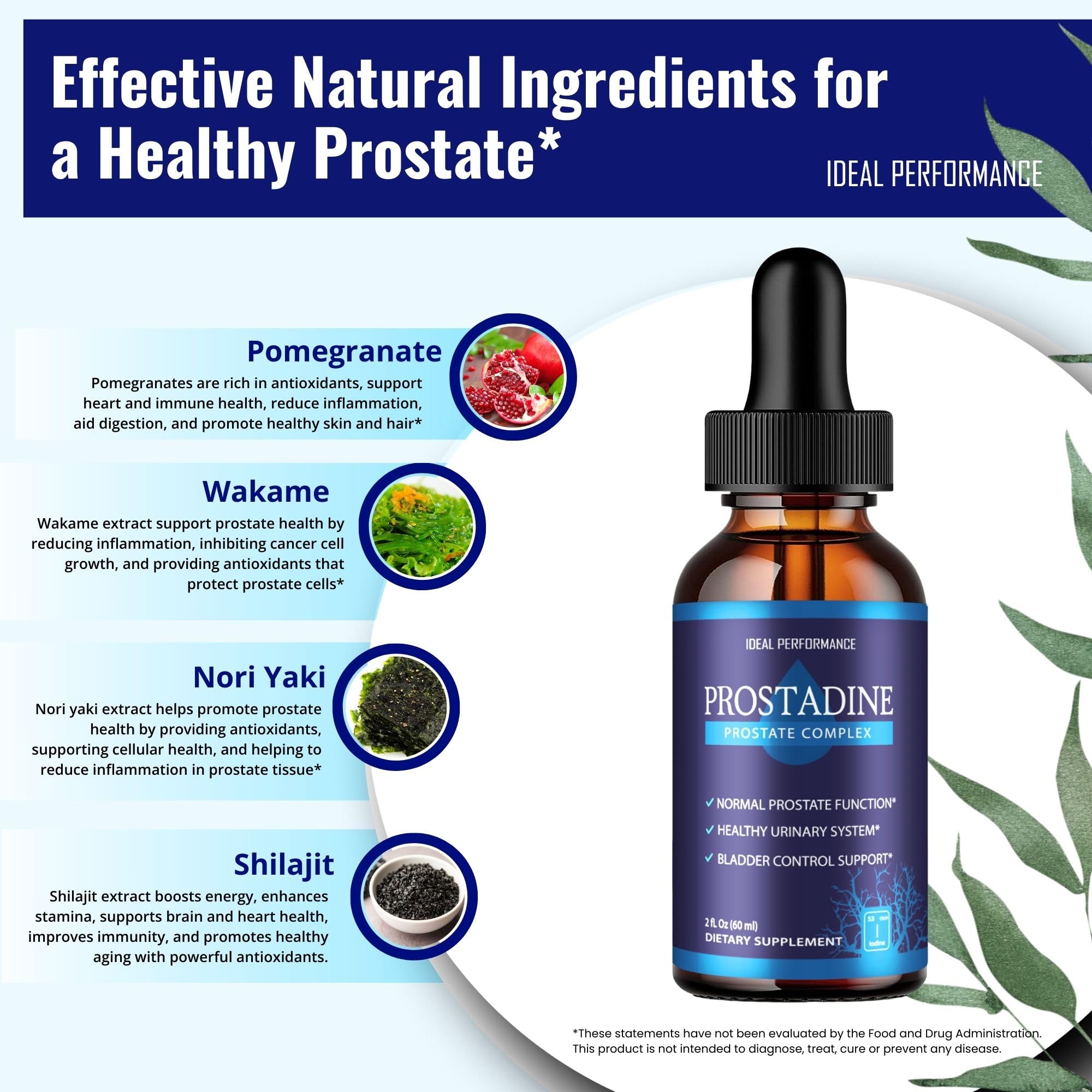 IDEAL PERFORMANCE Prostadine Drops dropper close-up.