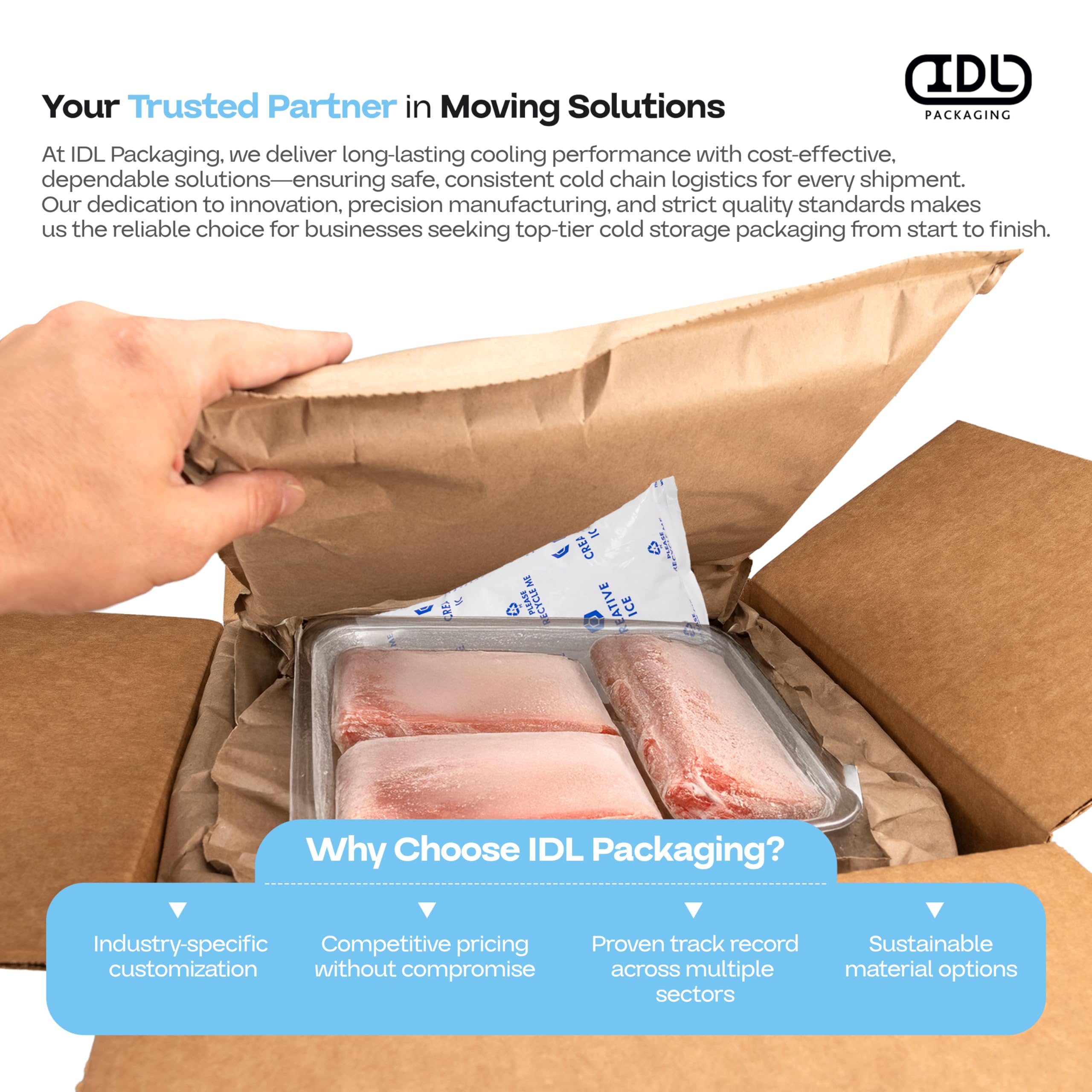 IDL Packaging Gel Ice Packs beach and picnic use keeps drinks cold.