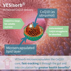 Igennus bottle with water glass highlights quick-acting, water-soluble delivery through VESIsorb technology