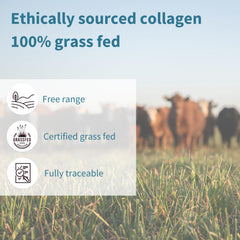 Igennus collagen powder with neutral taste blends into drinks smoothly.