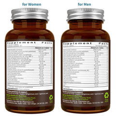 Igennus Methylated Multivitamin slow-release timing illustration.