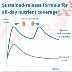 Igennus Methylated Multivitamin twice-daily dosing concept for steady nutrients.