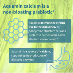 Igennus bottle-label ingredients highlight Lactobacillus acidophilus and Bifidobacterium strains.