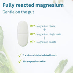 Igennus Superior Triple Magnesium label detail emphasizing clean, vegan, hypoallergenic ingredients.