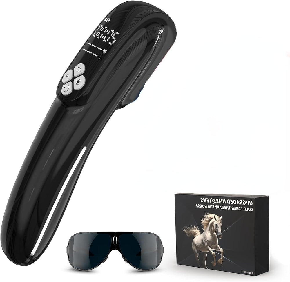 iKeener cold-laser-therapy-device horse front view for post-activity recovery.