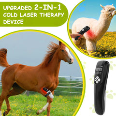 iKeener horse goggles included for safe therapy sessions.