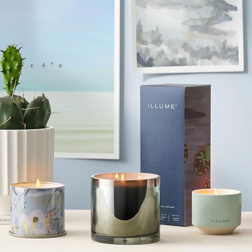 Illume Citrus Crush diffuser setup with reeds in a modern living space.