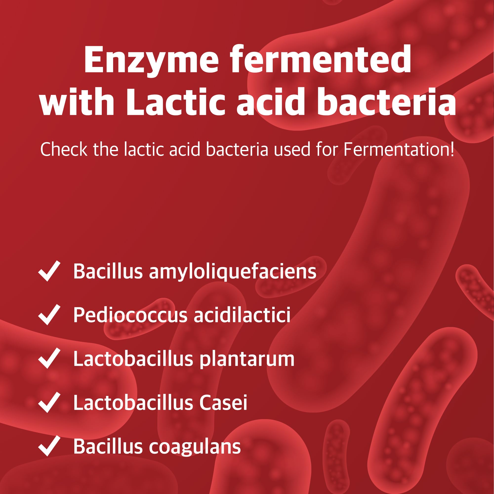 ILO Kamut Enzyme Complex probiotic blend, with gentle fermentation notes.