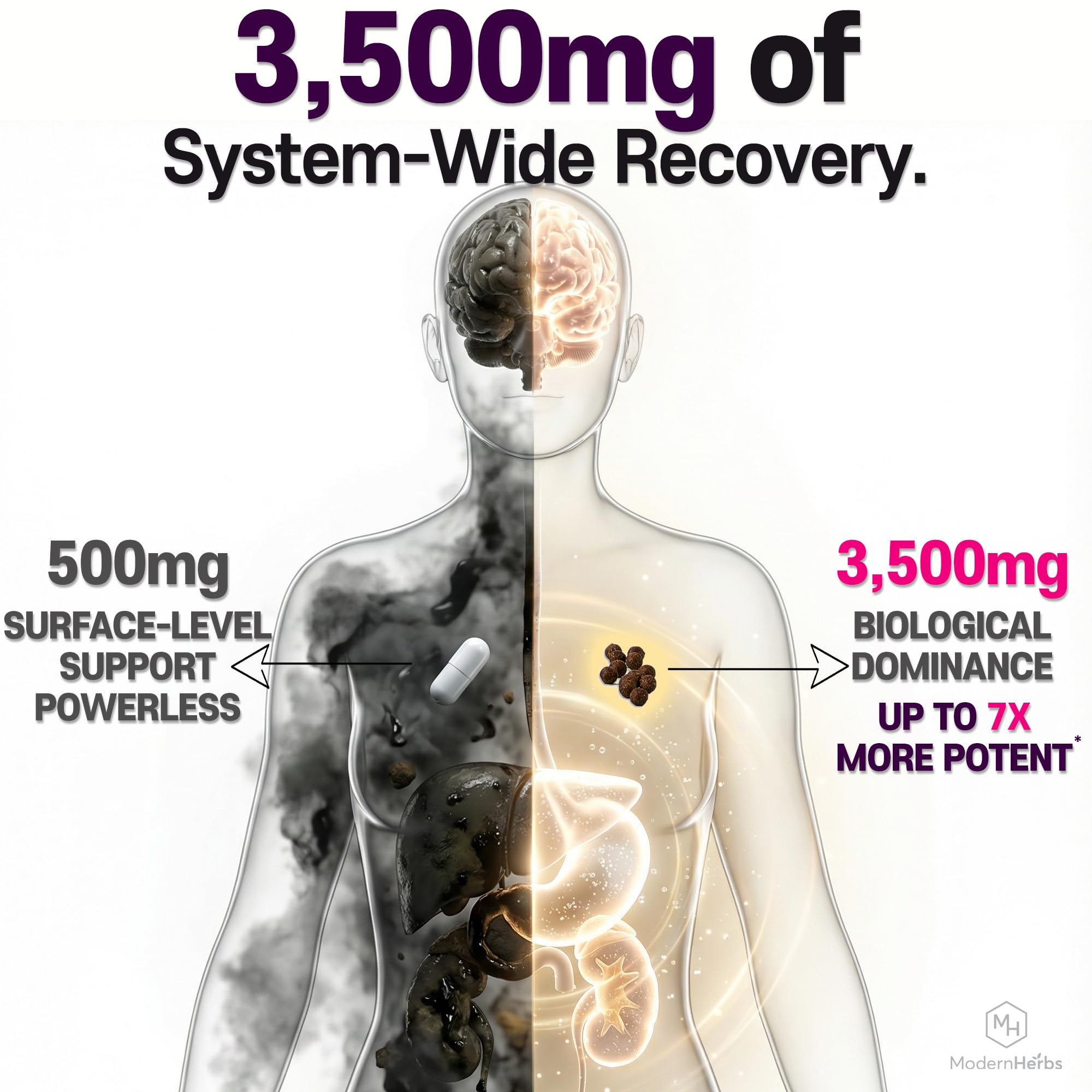 Iluna Recovery herbal blend ingredients showcase natural detox and liver-friendly herbs.