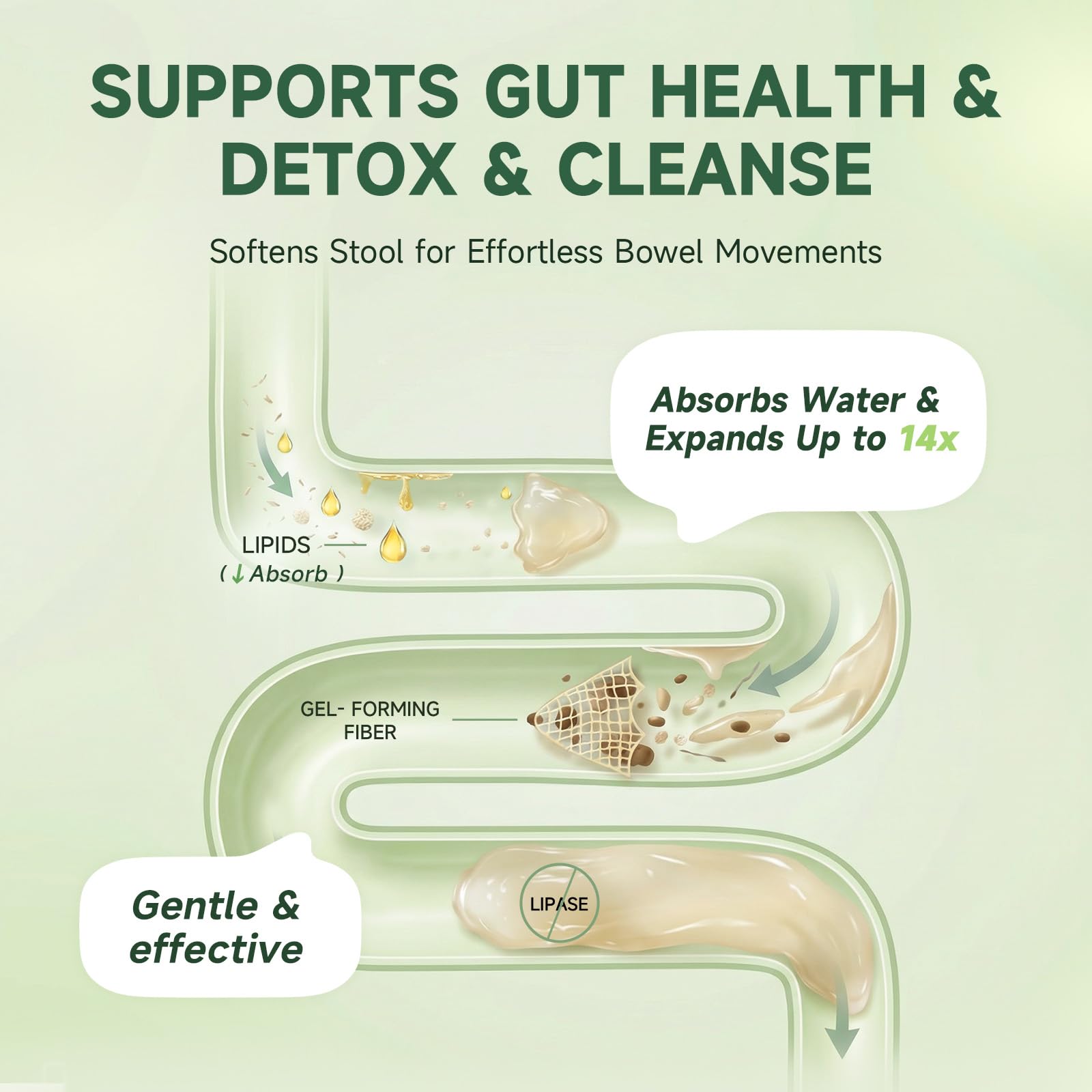 iMATCHME capsules include L-Theanine for a calm, focused day.