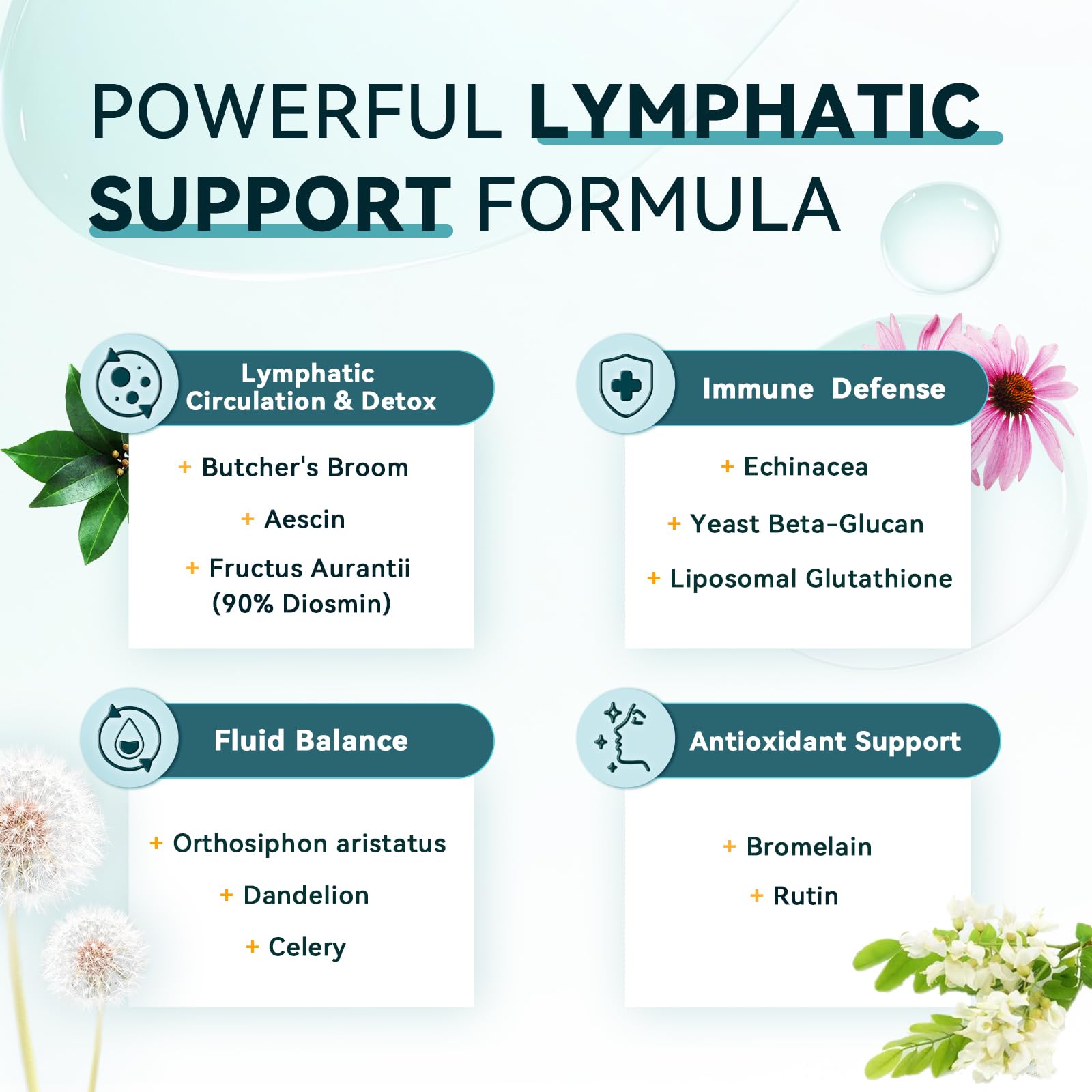 echinacea in iMATCHME blend to support daily immune response