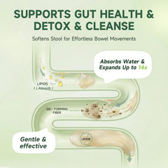 iMATCHME psyllium husk ingredient highlighting natural fiber source for digestion.